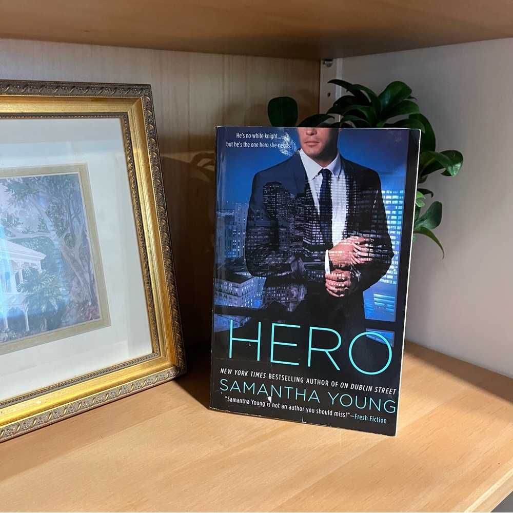 Samantha young hero book